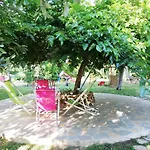 Aggeliki *