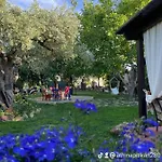 Aggeliki