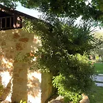 Aggeliki Daire
