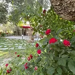 Aggeliki Daire Prínos