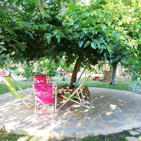 Aggeliki *