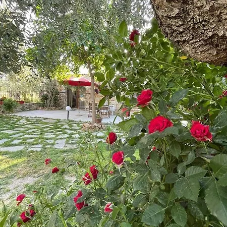 Aggeliki Daire Prínos