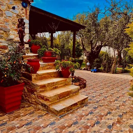 Aggeliki * Принос