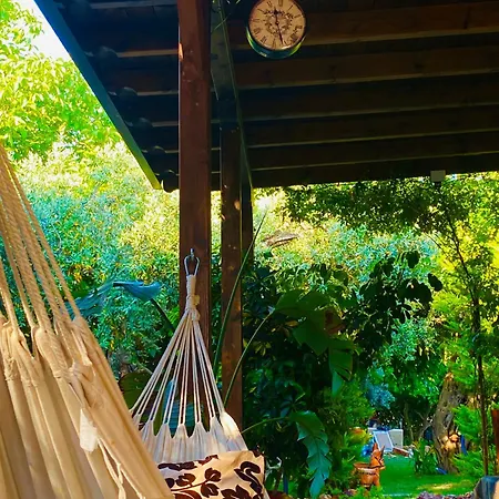 Aggeliki Appartement