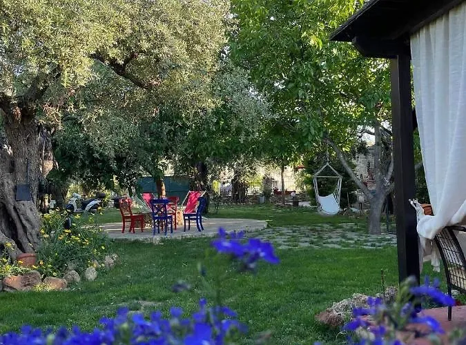 Aggeliki