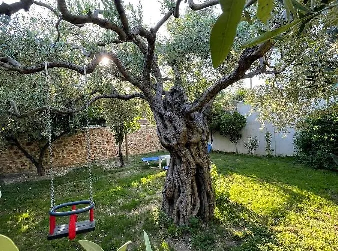 Aggeliki *