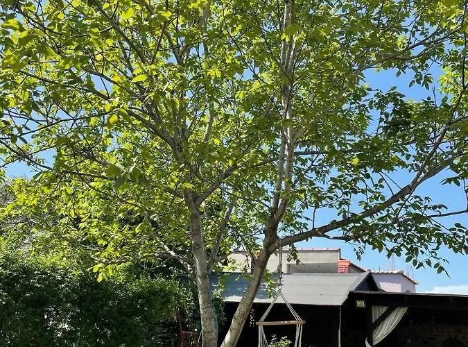 Apartamento Aggeliki