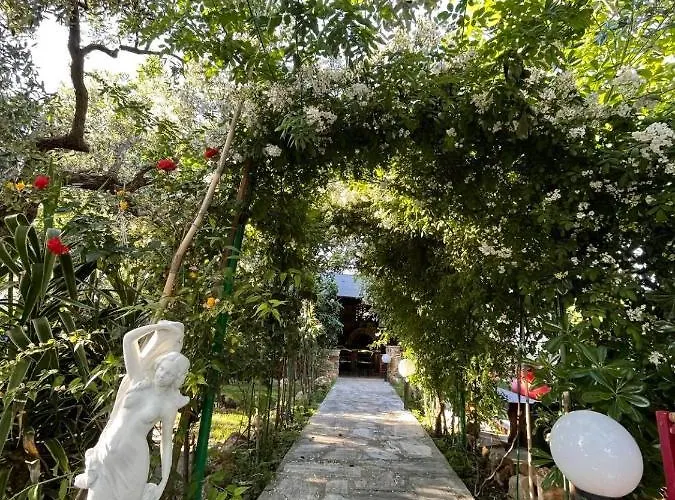 Aggeliki *